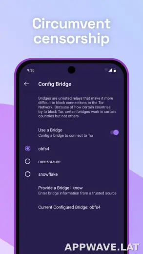 Tor Browser скриншот 2